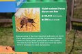 Kids_DFWzoo_3-2016 (110)